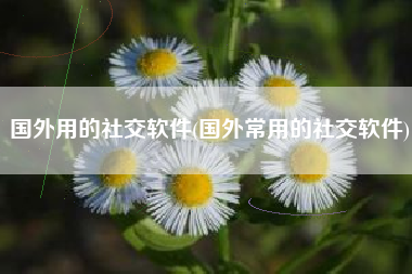 国外用的社交软件(国外常用的社交软件)