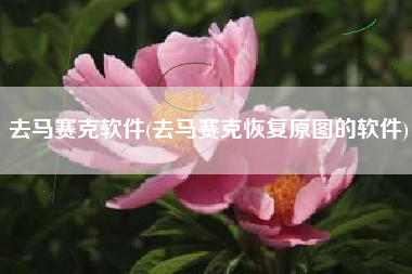 去马赛克软件(去马赛克恢复原图的软件)