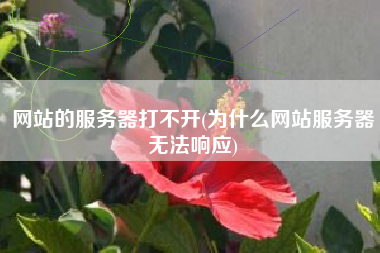 网站的服务器打不开(为什么网站服务器无法响应)