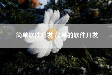 简单软件开发 简单的软件开发