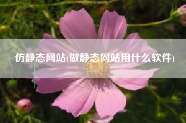 仿静态网站(做静态网站用什么软件)