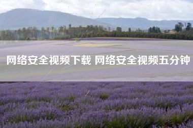 网络安全视频下载 网络安全视频五分钟