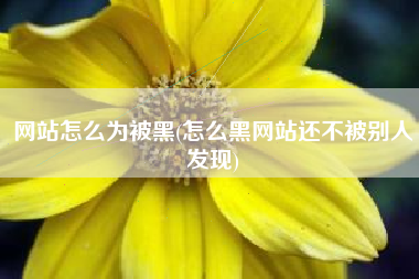 网站怎么为被黑(怎么黑网站还不被别人发现)