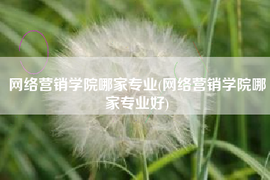 网络营销学院哪家专业(网络营销学院哪家专业好)