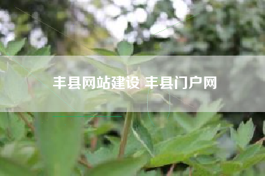 丰县网站建设 丰县门户网