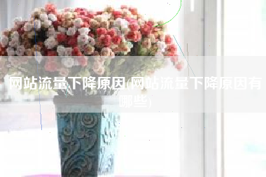 网站流量下降原因(网站流量下降原因有哪些)
