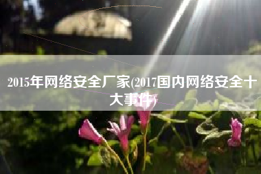 2015年网络安全厂家(2017国内网络安全十大事件)