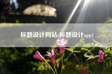 标题设计网站(标题设计app)