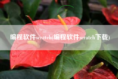 编程软件scratch(编程软件scratch下载)