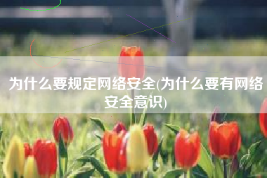 为什么要规定网络安全(为什么要有网络安全意识)
