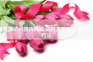 美国访问国内网站(访问美国的网站快的方法)