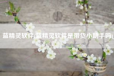 蓝精灵软件(蓝精灵软件是带货小助手吗)