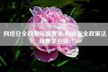 网络安全政策法规要求(网络安全政策法规要求包括)