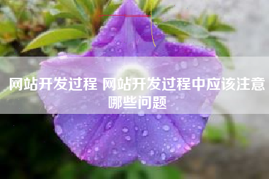 网站开发过程 网站开发过程中应该注意哪些问题