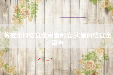 将推出网络安全审查制度 实施网络安全审查