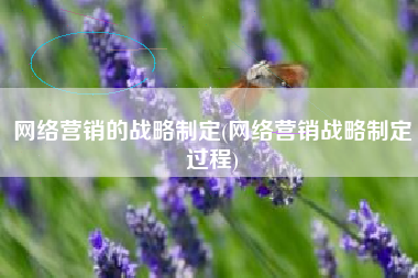 网络营销的战略制定(网络营销战略制定过程)