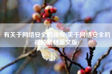 有关于网络安全的视频(关于网络安全的视频素材英文版)