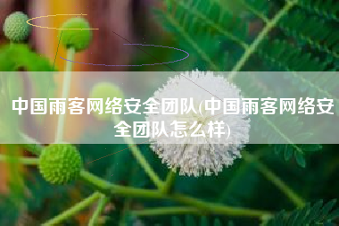中国雨客网络安全团队(中国雨客网络安全团队怎么样)
