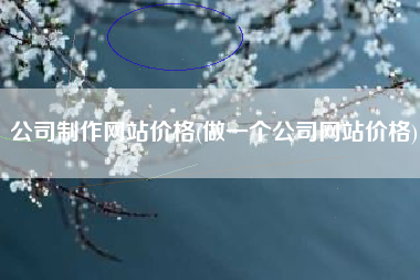 公司制作网站价格(做一个公司网站价格)
