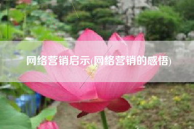 网络营销启示(网络营销的感悟)