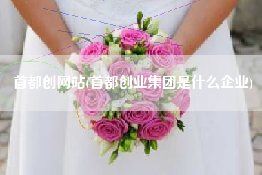 首都创网站(首都创业集团是什么企业)