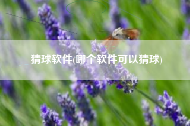 猜球软件(哪个软件可以猜球)