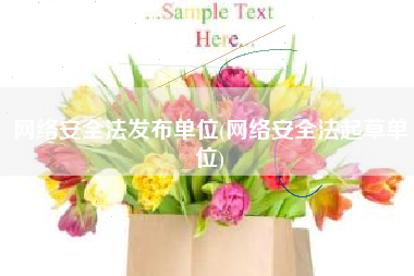 网络安全法发布单位(网络安全法起草单位)