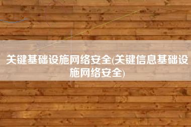 关键基础设施网络安全(关键信息基础设施网络安全)
