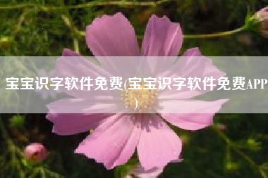 宝宝识字软件免费(宝宝识字软件免费APP)
