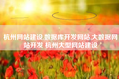 杭州网站建设,数据库开发网站,大数据网站开发 杭州大型网站建设