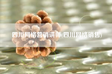 四川网络营销讲师(四川网络销售)