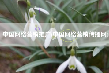 中国网络营销推广(中国网络营销传播网)