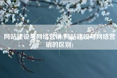 网站建设与网络营销(网站建设与网络营销的区别)