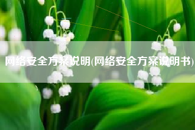 网络安全方案说明(网络安全方案说明书)