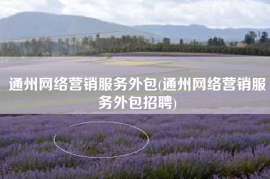 通州网络营销服务外包(通州网络营销服务外包招聘)