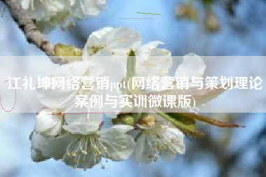 江礼坤网络营销ppt(网络营销与策划理论案例与实训微课版)