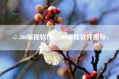 s7-300编程软件(s7300编程软件图标)