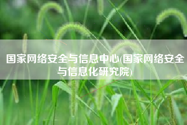国家网络安全与信息中心(国家网络安全与信息化研究院)
