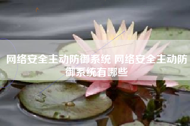 网络安全主动防御系统 网络安全主动防御系统有哪些