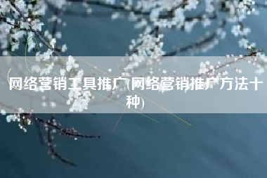 网络营销工具推广(网络营销推广方法十种)