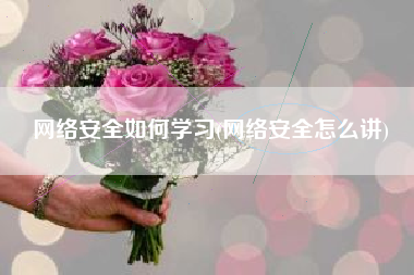 网络安全如何学习(网络安全怎么讲)