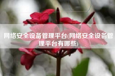 网络安全设备管理平台(网络安全设备管理平台有哪些)