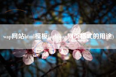 wap网站html模板(web,wap网页格式的用途)