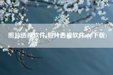 照片透视软件(照片透视软件app下载)