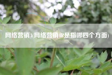 网络营销4(网络营销4P是指哪四个方面)