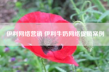 伊利网络营销 伊利牛奶网络促销案例