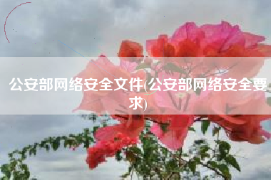 公安部网络安全文件(公安部网络安全要求)