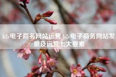 b2c电子商务网站运营 b2c电子商务网站发展及运营七大要素