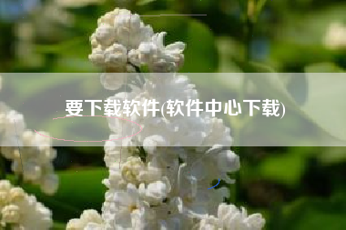 要下载软件(软件中心下载)