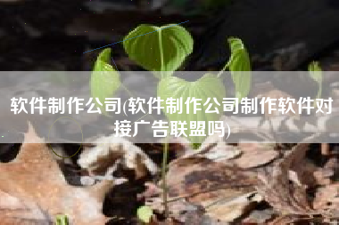 软件制作公司(软件制作公司制作软件对接广告联盟吗)
